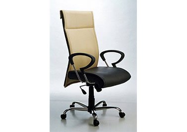 Executive Chairs in Chennai